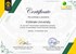 Üniversitemiz, UI GreenMetric World University Rankings 2022'de Sıralamaya Girdi